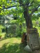 Attraktive Etagenwohnung in der Erfurter Brühlervorstadt mit Garten, Garage u. Stellplatz - Garten